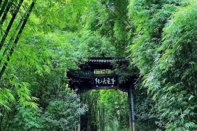 央视关注！邛崃这处传统村落到底有多美！