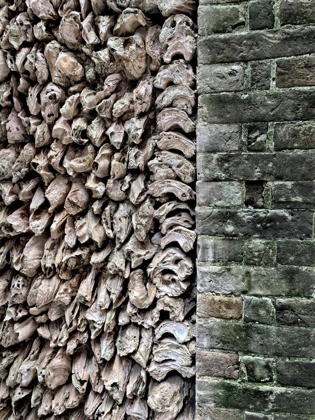 广州城里的世外桃源！百蚝壳屋+古桥祠堂，避人潮享惬意慢时光