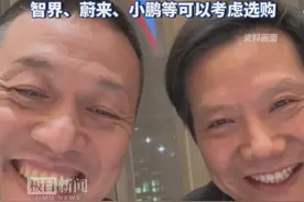 格局打开了！雷军发文：如果用户实在着急购车，国内新能源汽车都不错图片