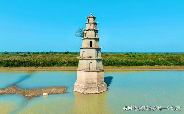 沅江南洞庭湖：一张会呼吸的湿地名片，等你来深呼吸！