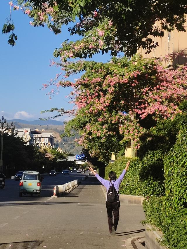 南行漫记：逃离弥勒市，去元谋寻找有温度的冬天