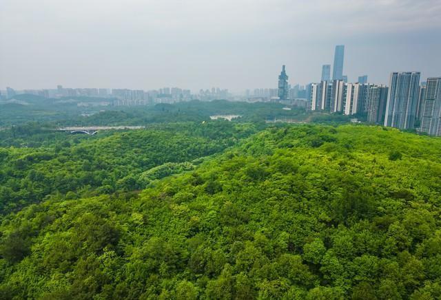 国内绿化最好的10大城市，南宁第3，昆明第6，长春垫底！