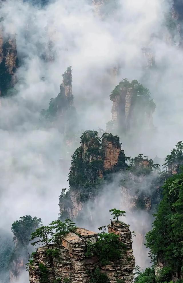 重磅揭秘！中国最美五大峰林，张家界仅排第2，你最钟情哪一座？