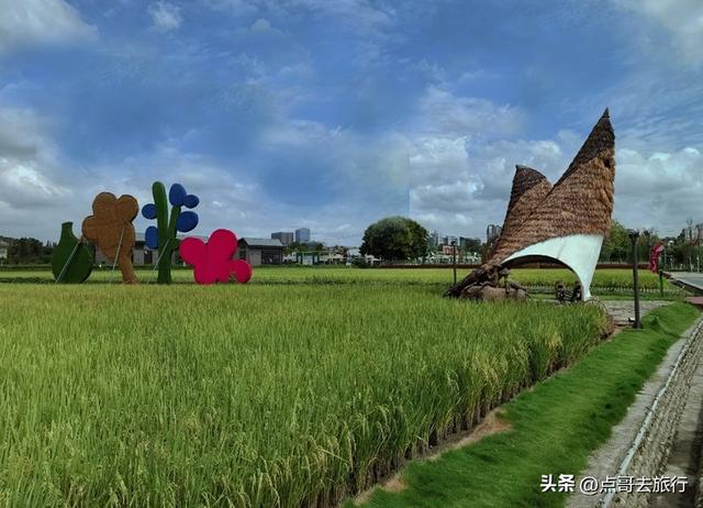 成都最美艺术农村，被人称为“成都夏威夷”，不要门票，公交直达
