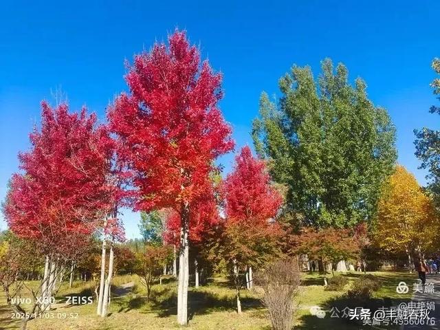 青岛即墨马山寻趣：一座地质公园的秋日私语｜申艳娟