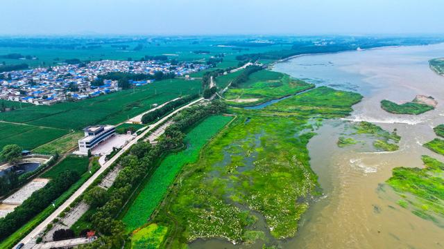 洪峰行过处 大汶河安然
