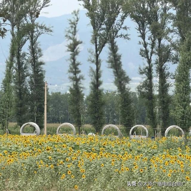 寻迹尖草坪丨6大神仙露营地，你去过几个？