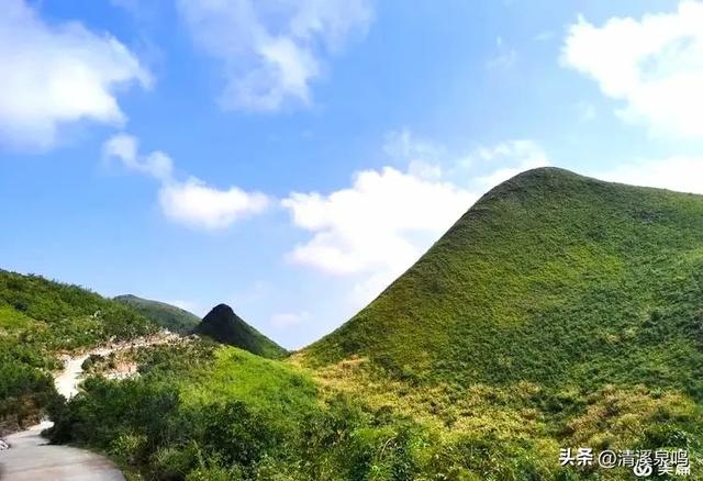 云岩青莲记
