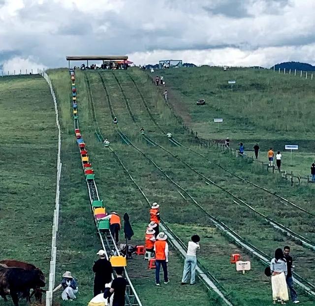 高山草甸在腾冲