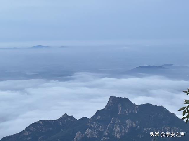 雨后泰山云海翻涌如仙境