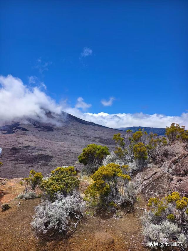 聚划算 退休后选一次沉浸式旅游 16天非洲印度洋香草四岛邮轮之旅