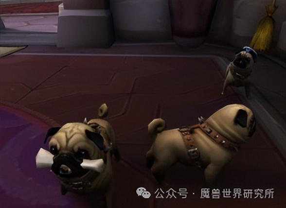 魔兽本周周常可得团本装备一件！上线记得接任务！收藏记得兑换！