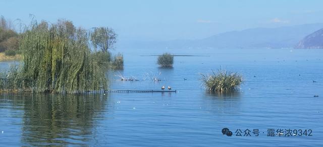 婚姻是一场极致修炼