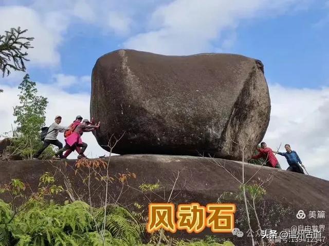 一步一景,奇石不断!温州这处奇石纷呈的的免费景区你可去过?