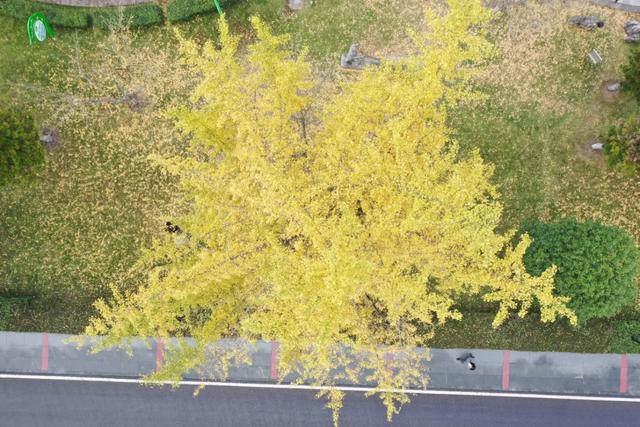 余庆的初冬,就藏在这些地方!