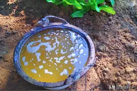 我们攒了一些尿，加入这4种材料，发酵来种菜图片