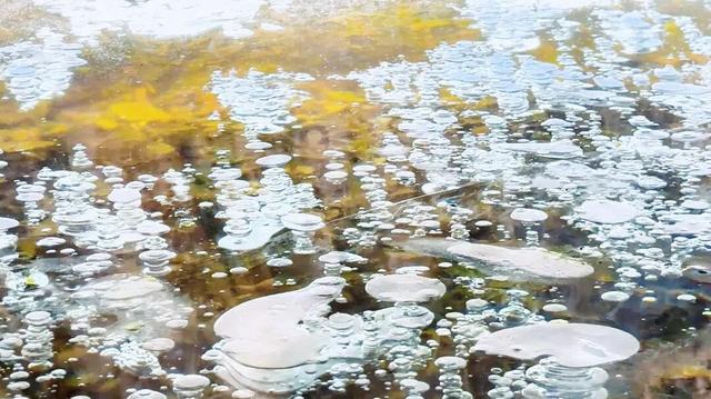 美到窒息！泰山彩石溪惊现“冬日魔法”，冰瀑奇观美若幻境！