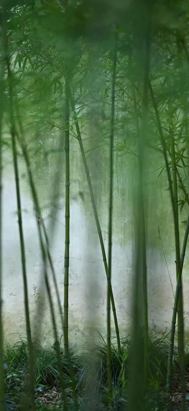 风景壁纸已送达