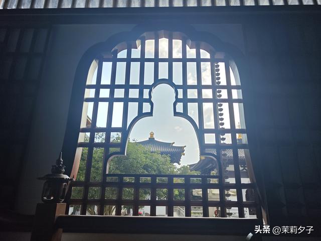 福鼎市区一日游：从白茶发源地到市井小吃赏唐风建筑品山海韵味