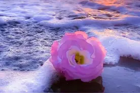 人过70，“节欲”是最好的克制欲望的方法，晚年会更有福气！图片