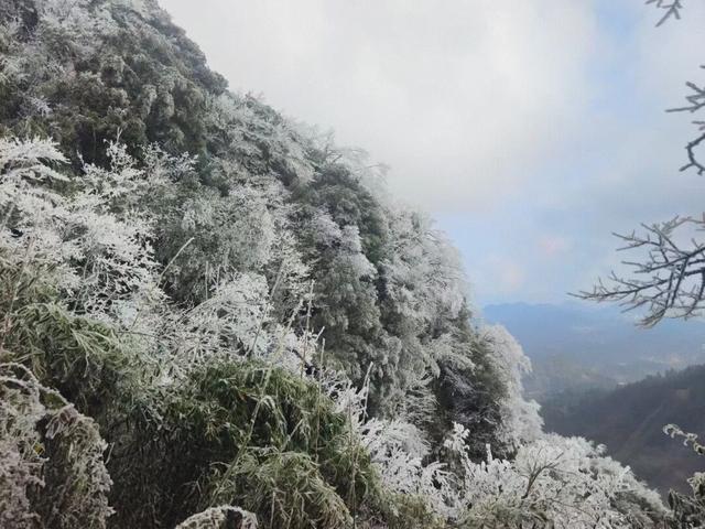 雪景 │ 美到词穷！仁怀首场雾凇惊艳上线