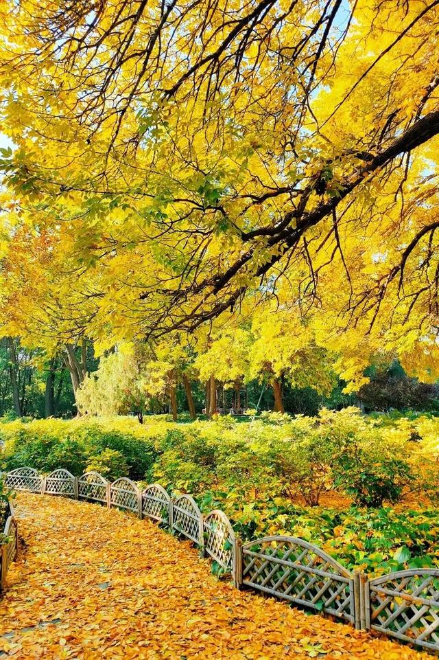 太原市迎泽区：府城漫步｜满城色彩绘就秋日画卷