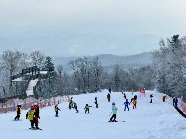 零下20℃的童话世界：哈尔滨冰雪季超全避坑与狂欢指南