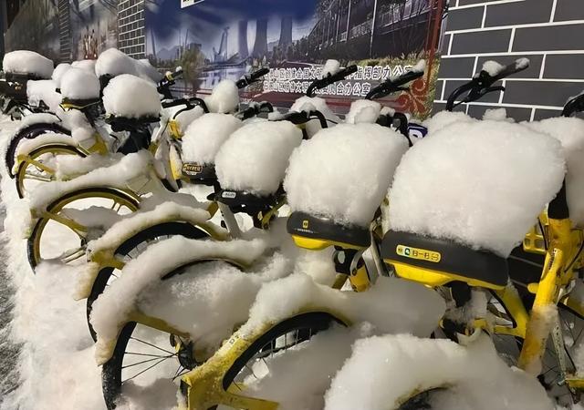 北京鹅毛大雪登上热搜	，中央气象台继续发布寒潮预警，倡议：在确保安全下，大家就近参与扫雪铲冰志愿服务