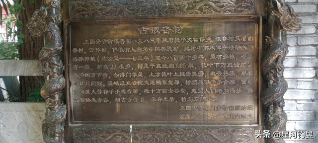 双苑、上国安寺小环线
