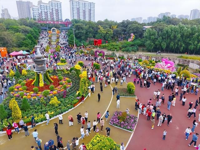 【为龙江旅游代言】东北最大金秋菊花展！不能错过！