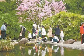 今明厦门阴雨大风，春寒料峭图片