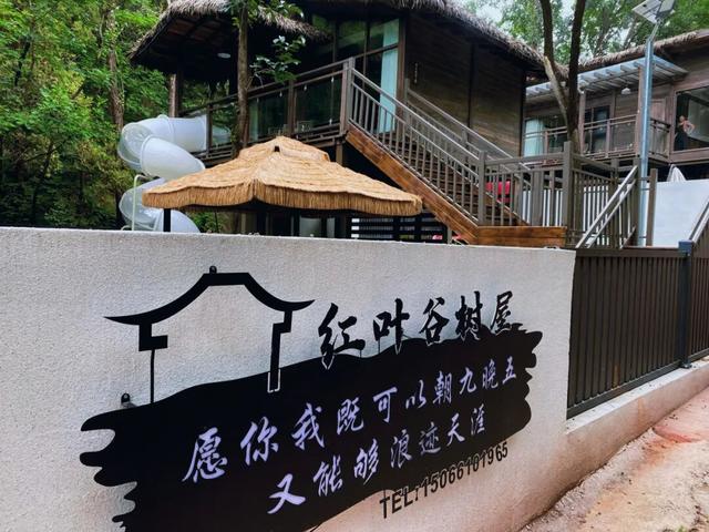 是谁打翻了济南的调色盘？这里有一场盛大的秋日盛宴即将来袭！