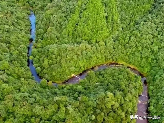 秋日轻徒步去哪？就来成都邛崃天台山！