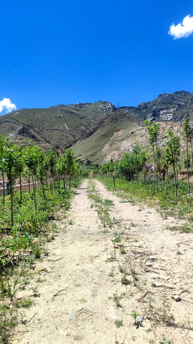 拉萨夺底乡茶马古道马帮歇脚点遗址，不见往日辉煌，空留残垣断壁