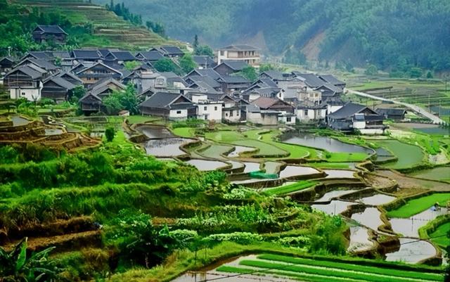 [广西 柳州市融水苗族自治县]