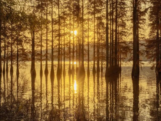 高铁1h！比西安秀美！这座千年古都秋色绝了！高光仅20天！