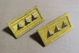 抗战国军各级军衔章总览图片