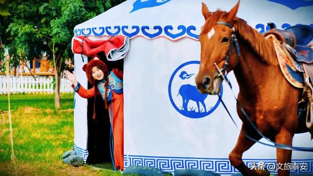 -10°C也拦不住！被窝里哪有马背上潇洒？小泰成功解锁泰安冬季最野玩法！