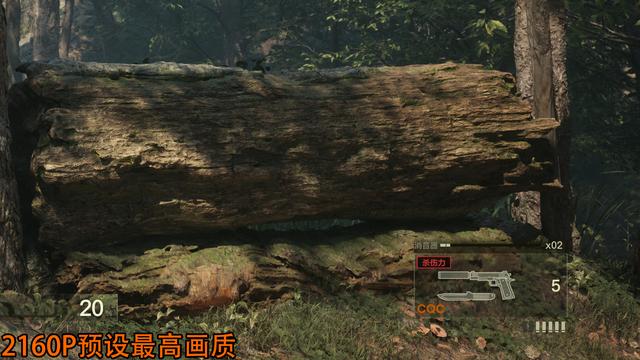 《合金装备 Δ：食蛇者》RTX 5070 Ti/5070/5060测试，附优化指南