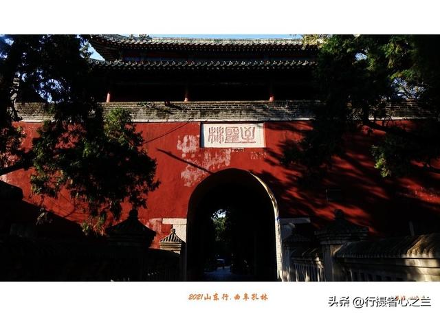 山东行游影记（225）—曲阜孔林（一）