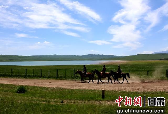 夏日山丹马场马儿俊美 景色无限好