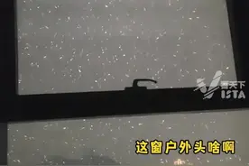 男子拍到窗外“诡异”一幕 一堆白色“不明物体”忽隐忽现 走近一看恍然大悟…图片