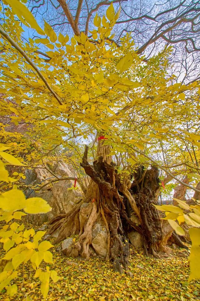 太全面了！8条游玩线路+京郊汤泉！带您玩转北京这里！（1）