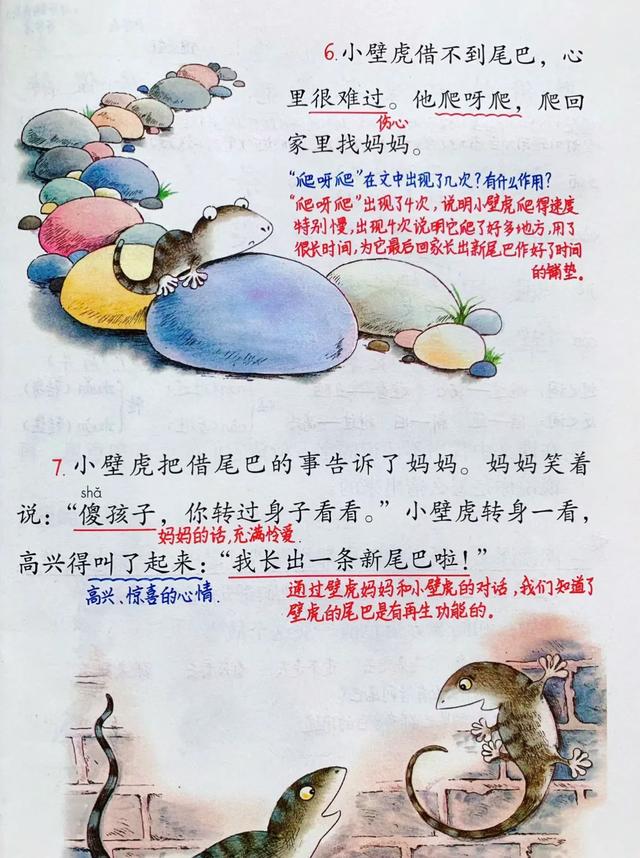 一年级语文下册，第八单元20课《小壁虎借尾巴》笔记+解析，收藏
