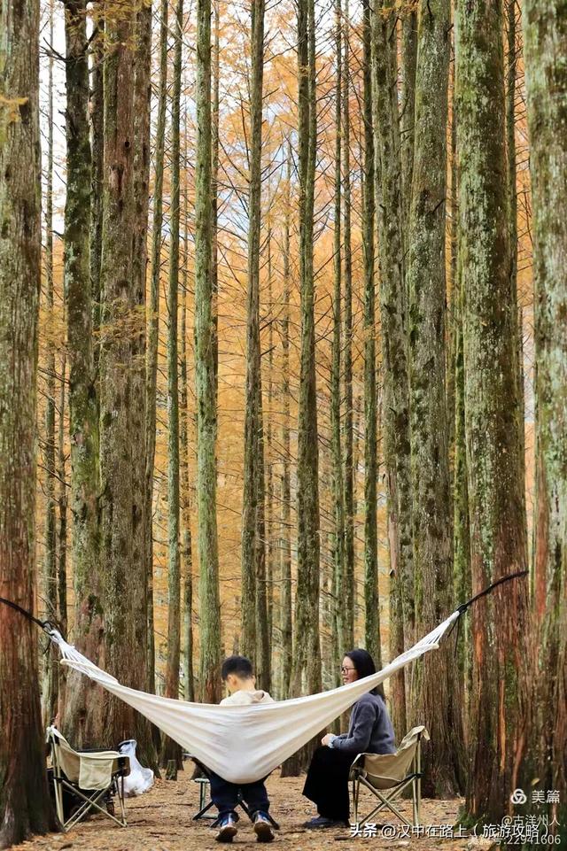 龙池秋色惹人醉