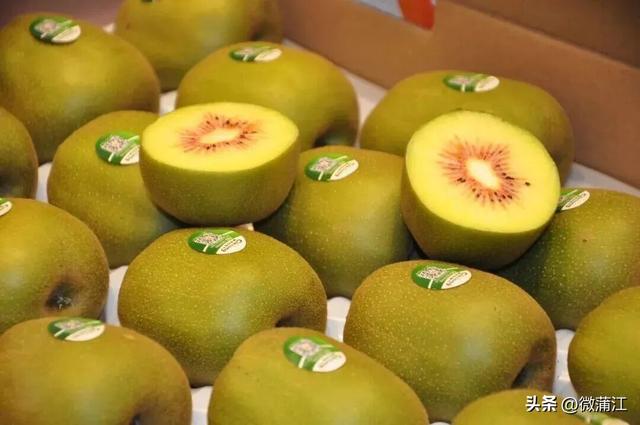 “骑”遇惊喜，快来成都蒲江“醉氧”绿道，开启你的追风之旅！