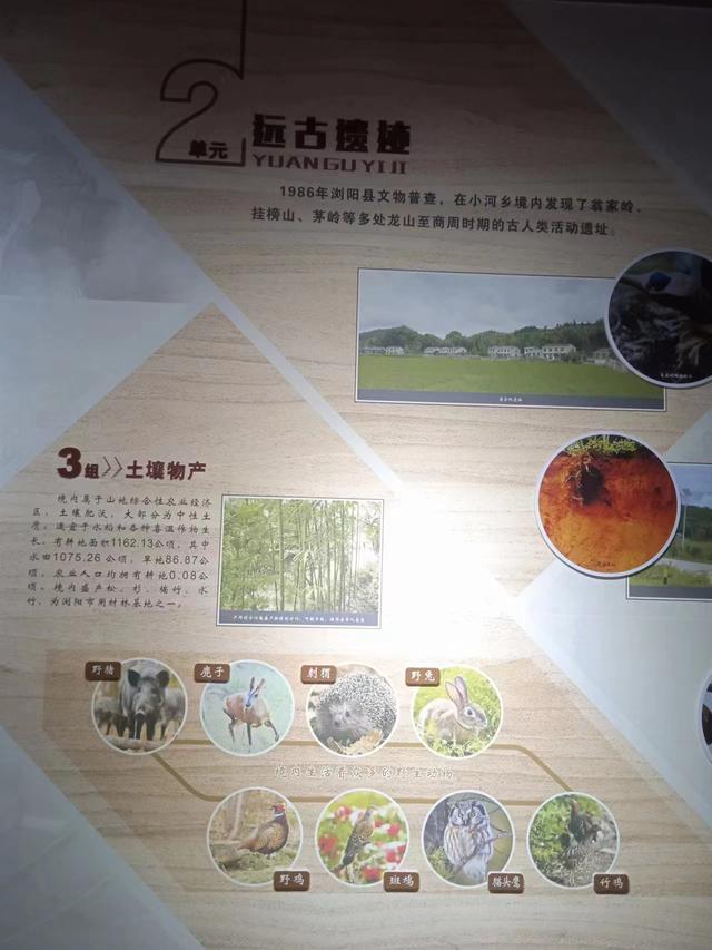 浏河滚滚欲留春，独向芳踪觅雅意——徒步小溪河散记（四）
