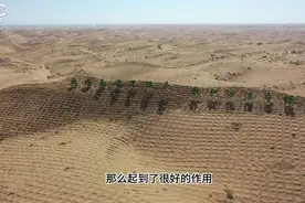 “中国魔方”草方格织出了人类治沙史上的奇迹图片