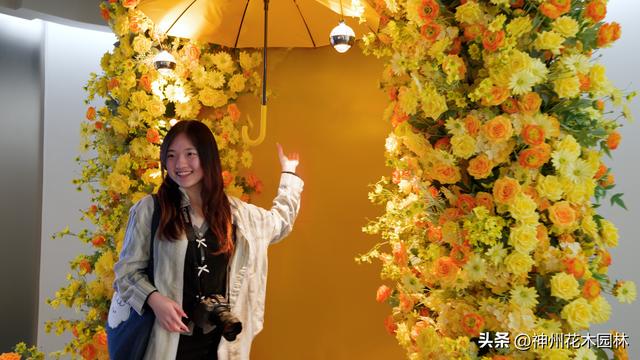 斗南花卉展览馆揭幕：全面展现从“花街”到“花都”的华丽蝶变