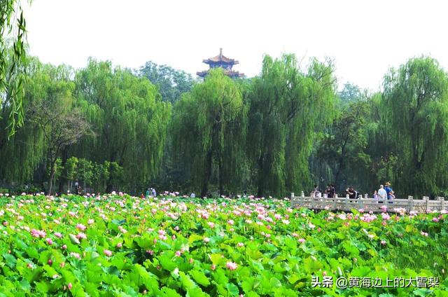 石家庄各辖区名称由来及历史沿革简要